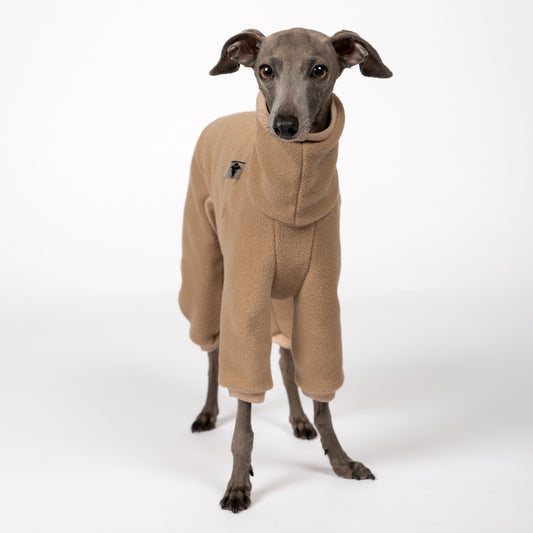 Overall Iggy Camel – Close-up am Hund – hochwertige Hundekleidung von Karma Hund