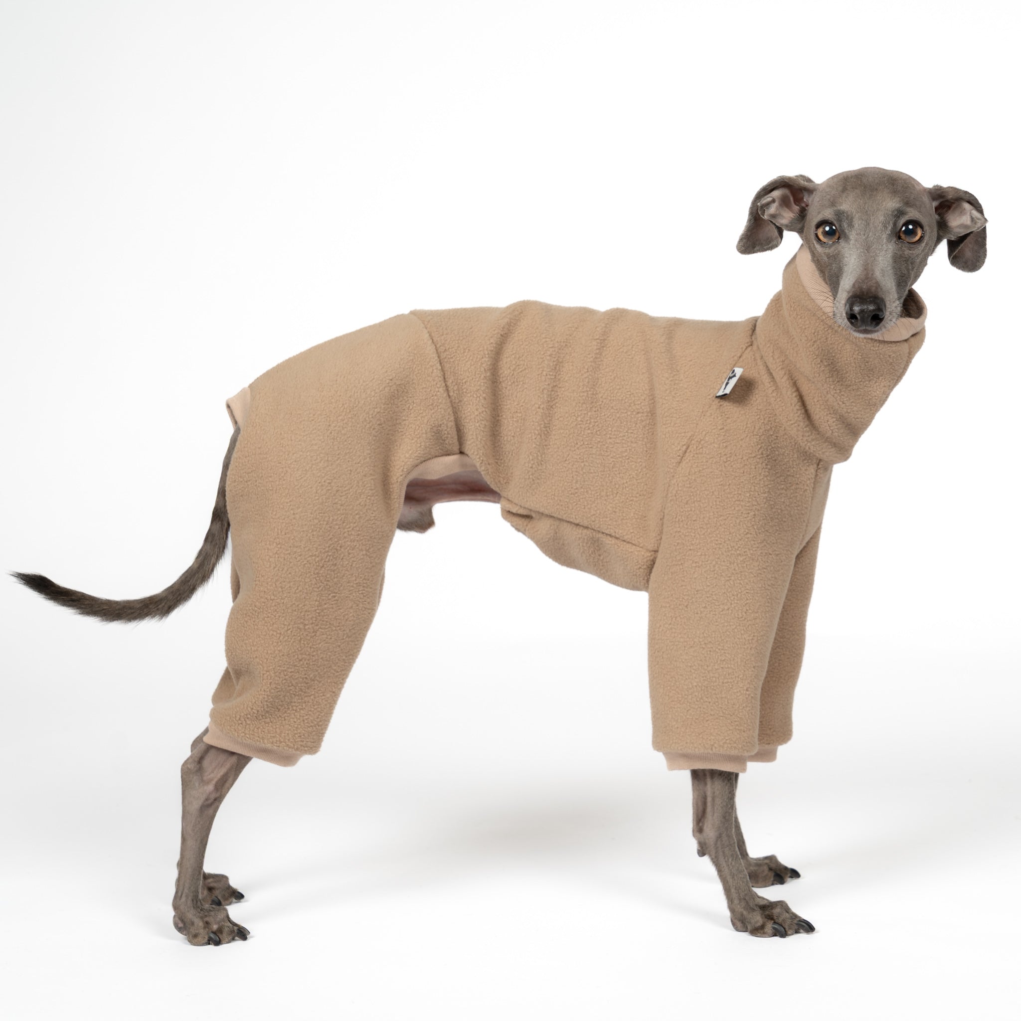 Overall Iggy Camel – hochwertige Hundekleidung für Dackel, Windspiele und Windhunde von Karma Hund Berlin – Ganzkörperansicht am Hund