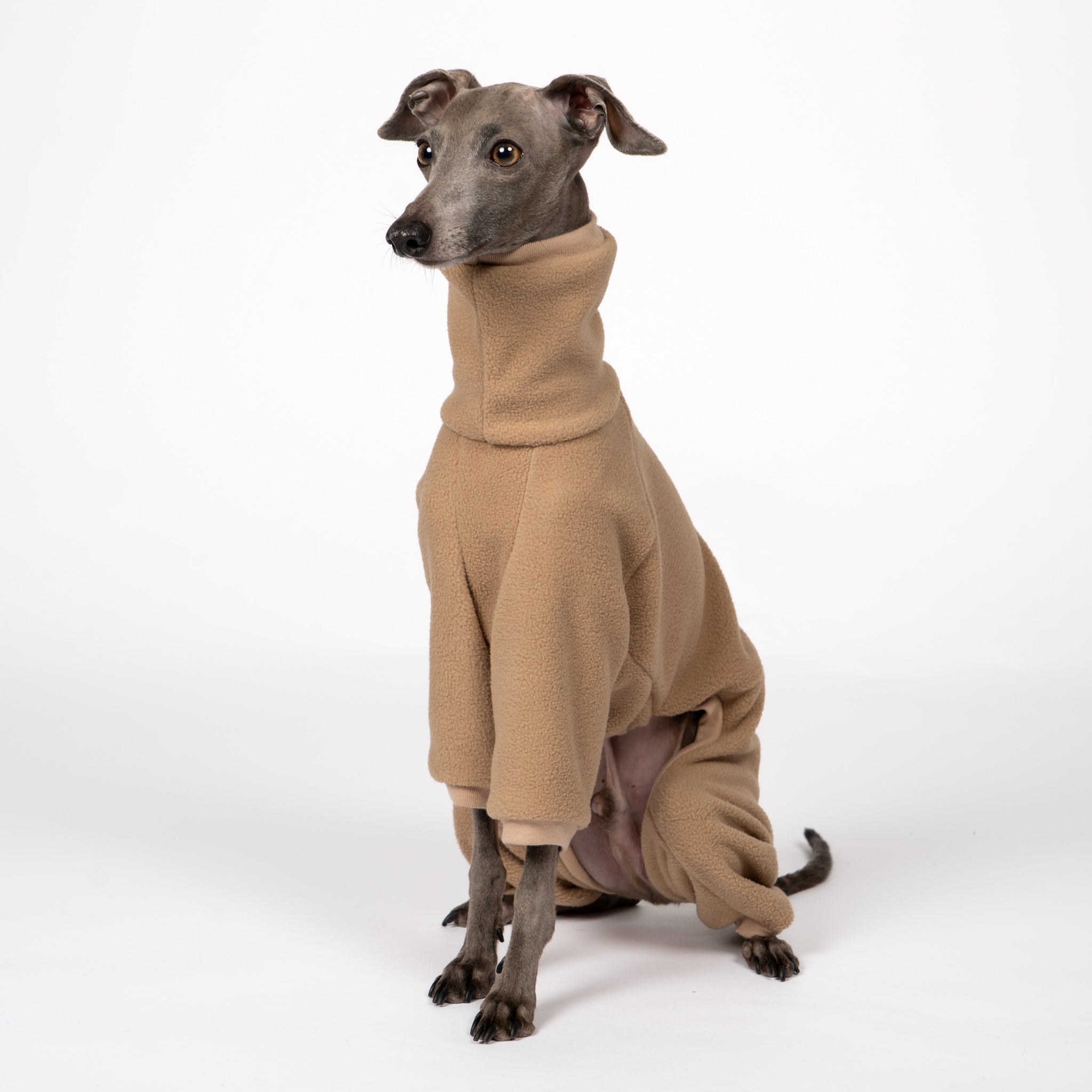 Overall Iggy Camel – optimale Passform für Windhunde, Windspiele und Dackel