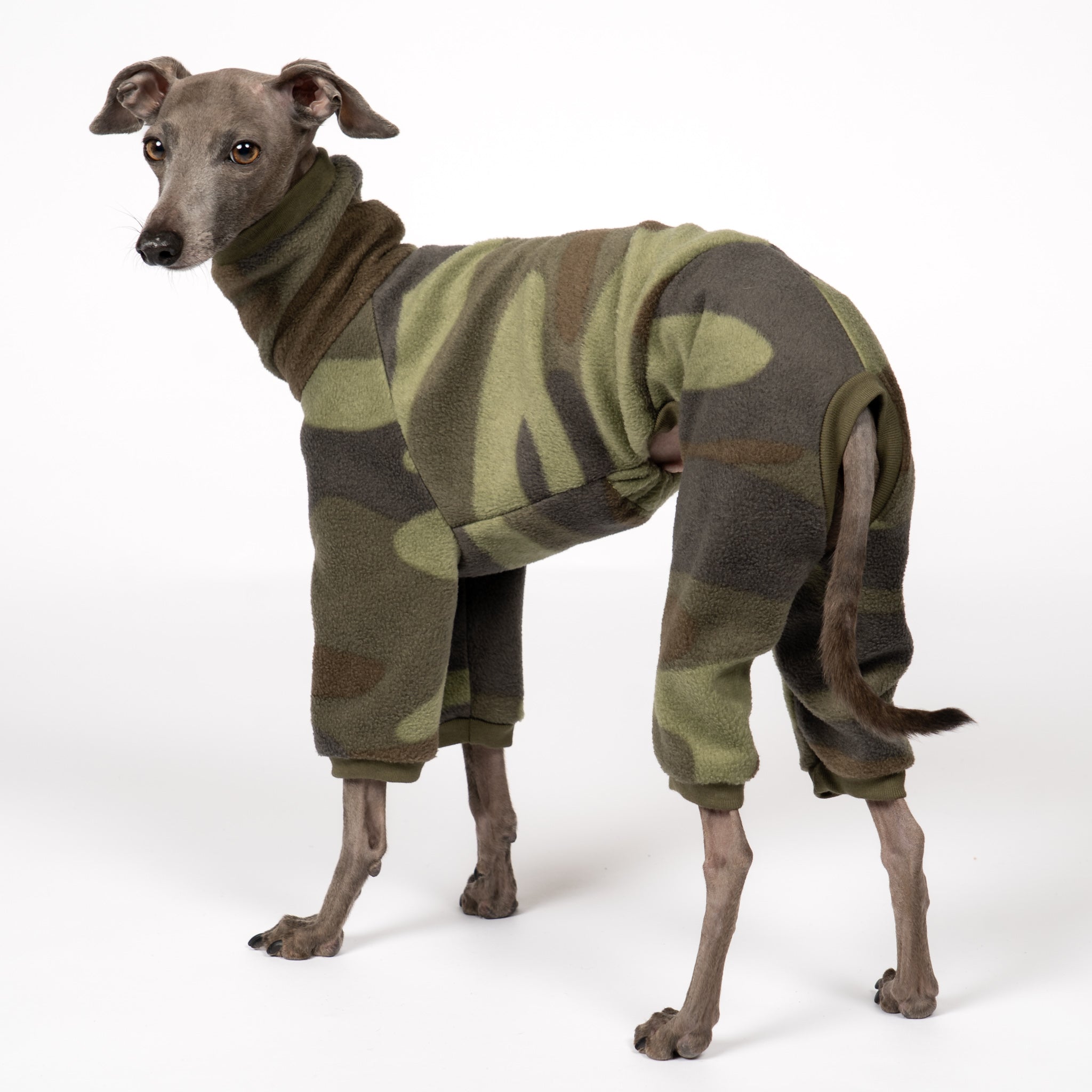 Overall Iggy Camouflage – Hundekleidung für Dackel, Windspiele und Whippets – Rückenansicht