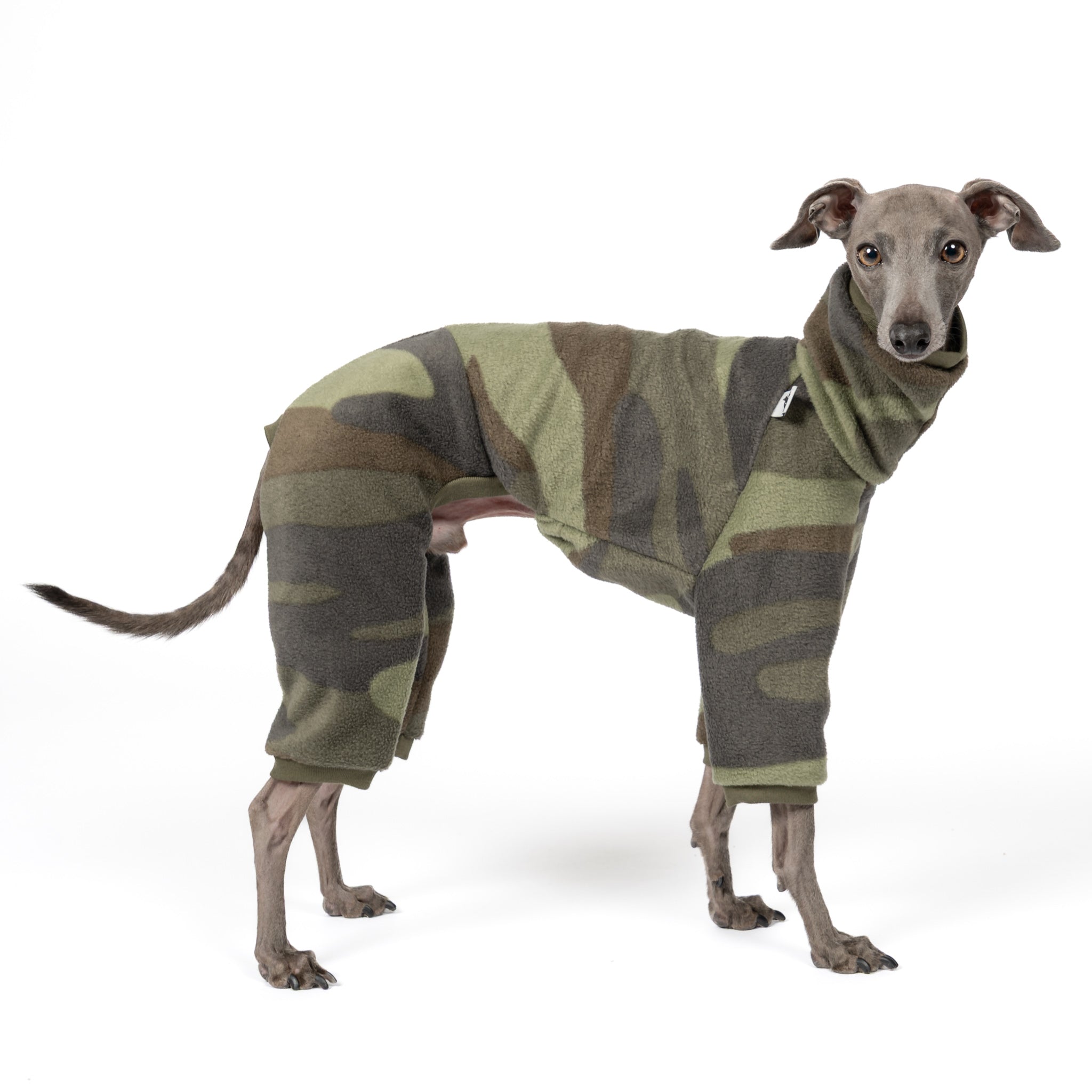 Overall Iggy Camouflage – hochwertige Hundekleidung für Dackel, Windspiele und Windhunde von Karma Hund Berlin – Ganzkörperansicht am Hund