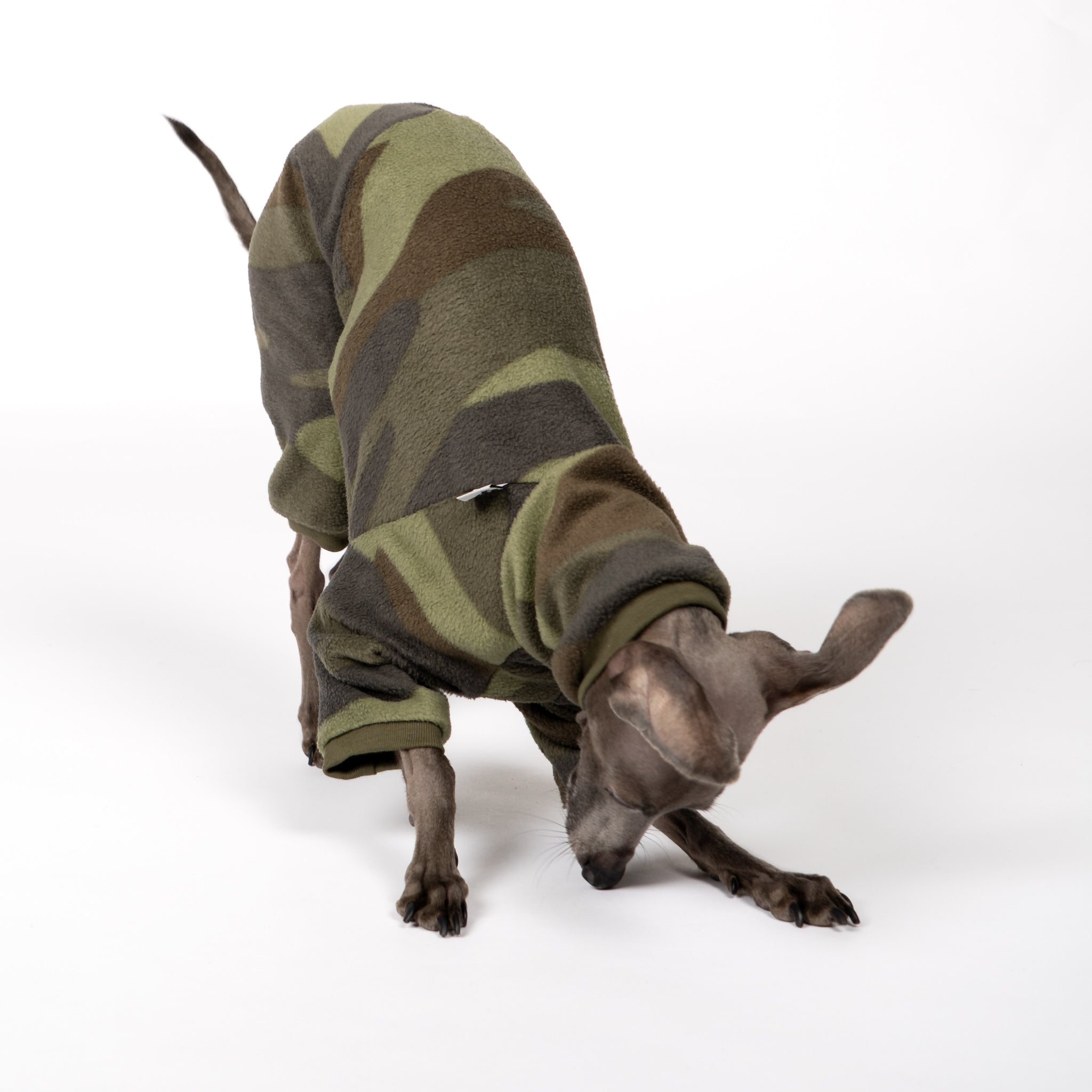 Overall Iggy Camouflage – Hund in Bewegung – bequeme Hundekleidung für Italienische Windspiele