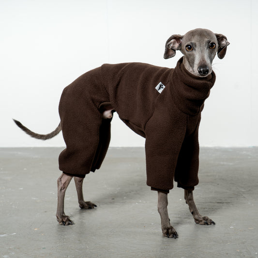Overall Iggy Espresso – hochwertige Hundekleidung für Dackel, Windspiele und Windhunde von Karma Hund Berlin – Ganzkörperansicht am Hund