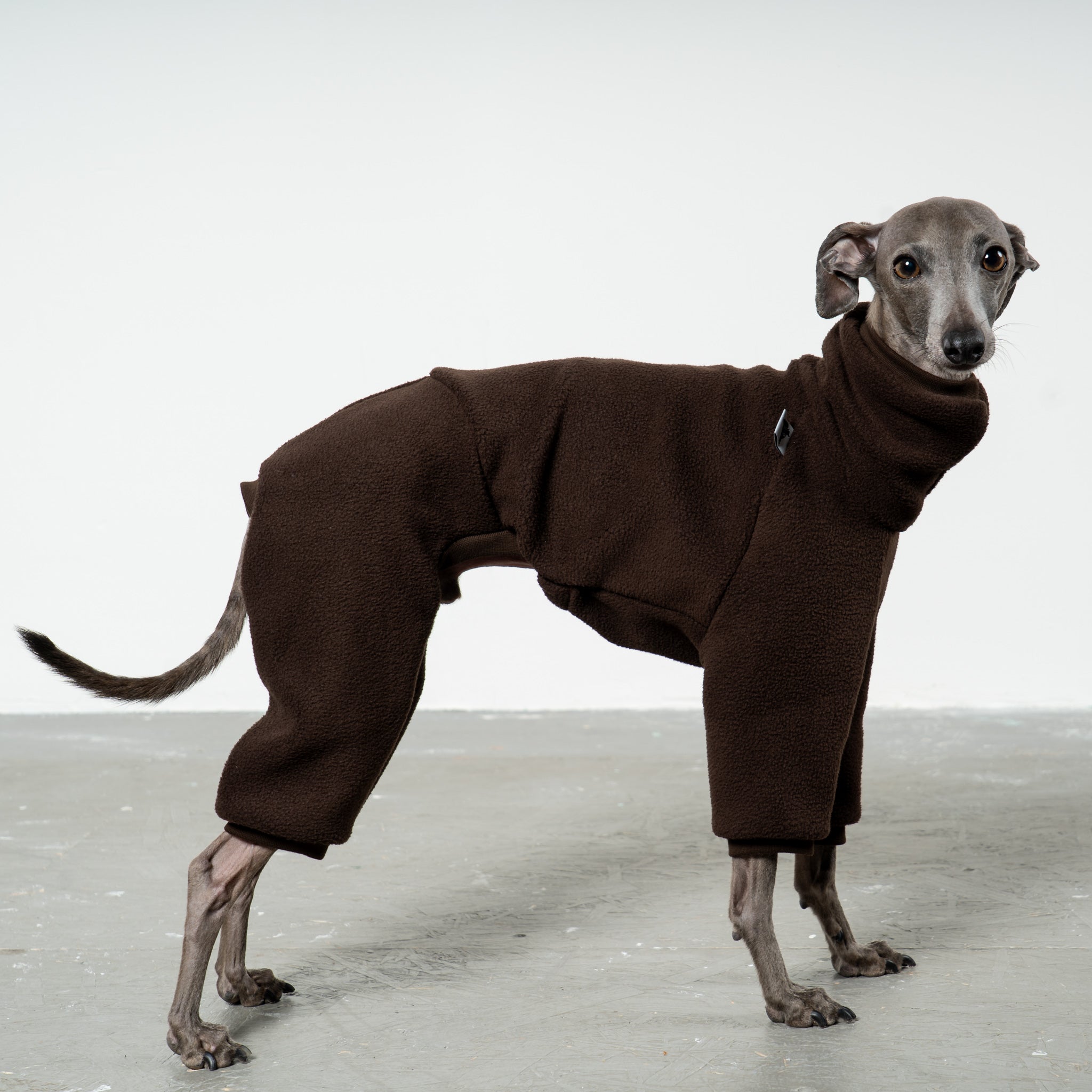 OVERALL Iggy Espresso