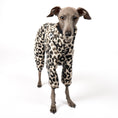 Load image into Gallery viewer, Overall Iggy Leo – hochwertige Hundekleidung für Dackel, Windspiele und Windhunde von Karma Hund Berlin – Ganzkörperansicht am Hund
