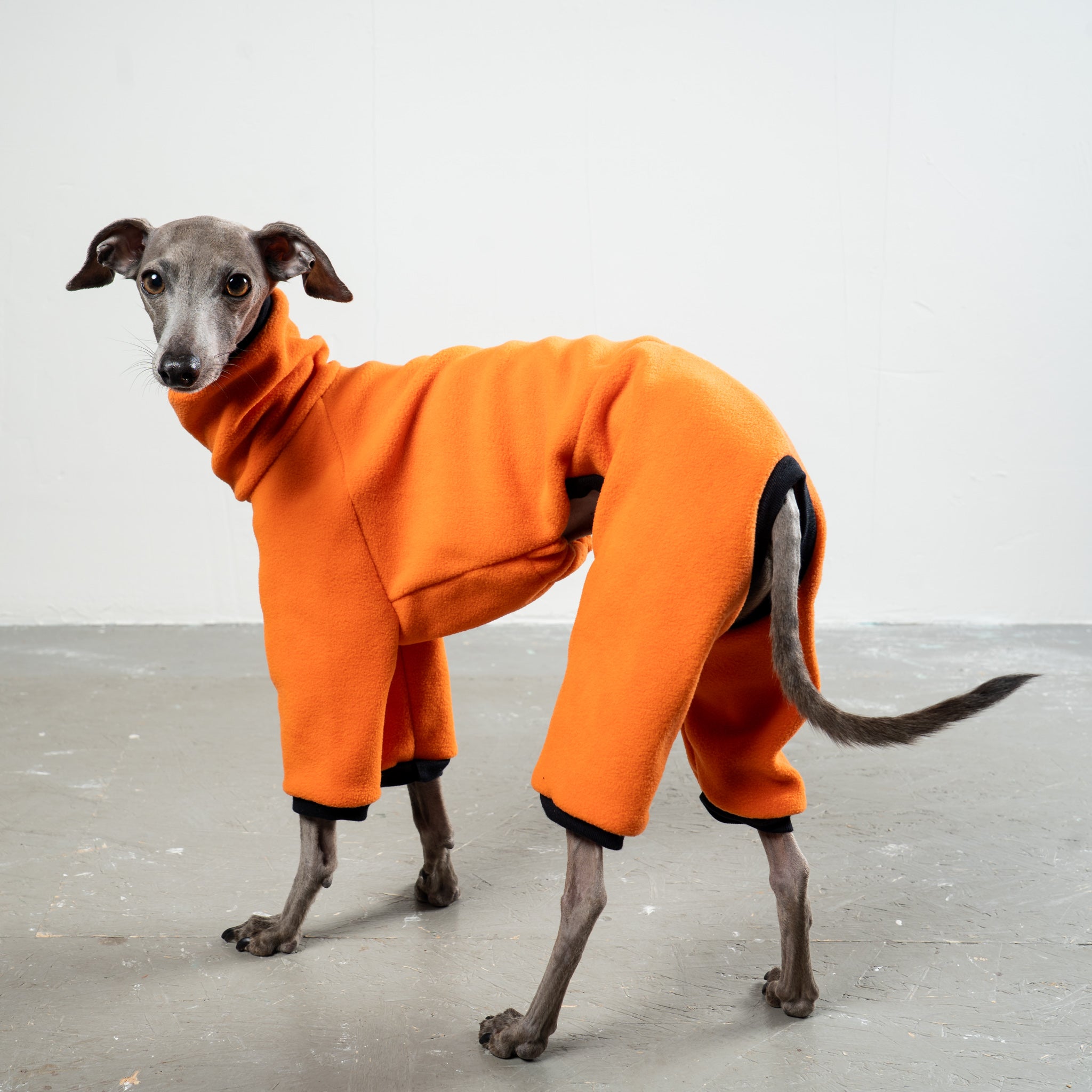 Overall Iggy Orange – ergonomischer Schnitt für Dackel und Windspiele – handgefertigte Hundekleidung