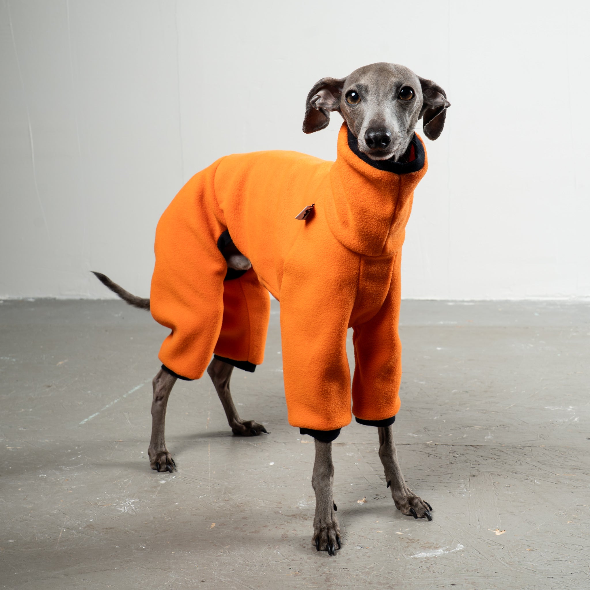 Overall Iggy Orange – Ganzkörperansicht – stilvolle Hundekleidung für Dackel und Italienische Windspiele