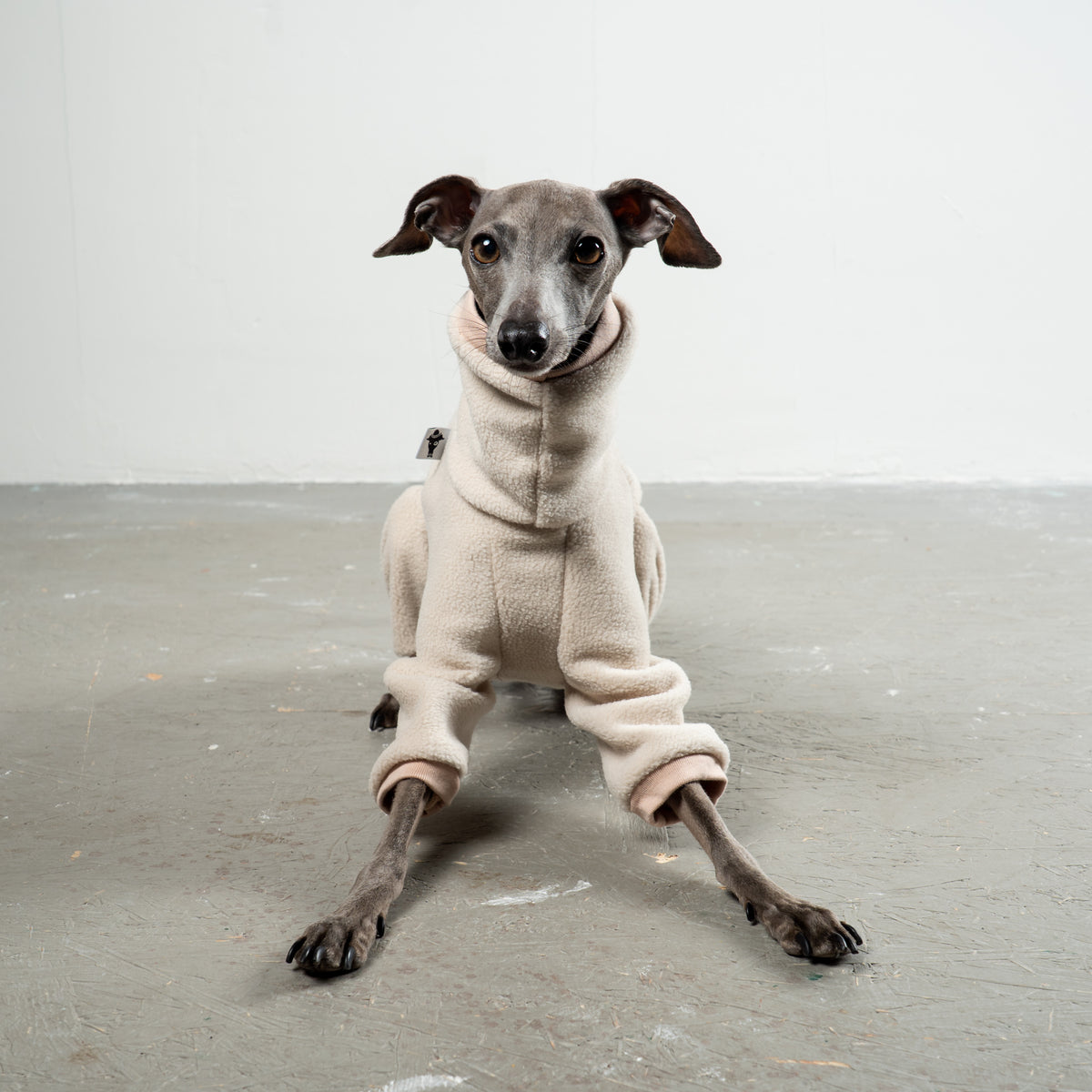 Overall Iggy Sand – ergonomischer Schnitt für Dackel und Windspiele – handgefertigte Hundekleidung