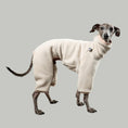 Load image into Gallery viewer, Overall Iggy Sand – hochwertige Hundekleidung für Dackel, Windspiele und Windhunde von Karma Hund Berlin – Ganzkörperansicht am Hund
