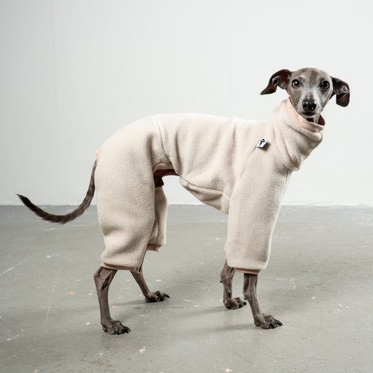 Overall Iggy Sand – hochwertige Hundekleidung für Dackel, Windspiele und Windhunde von Karma Hund Berlin – Ganzkörperansicht am Hund