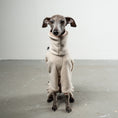 Load image into Gallery viewer, Overall Iggy Sand – optimale Passform für Windhunde, Windspiele und Dackel
