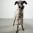 Load image into Gallery viewer, Overall Iggy Sand – Close-up am Hund – hochwertige Hundekleidung von Karma Hund
