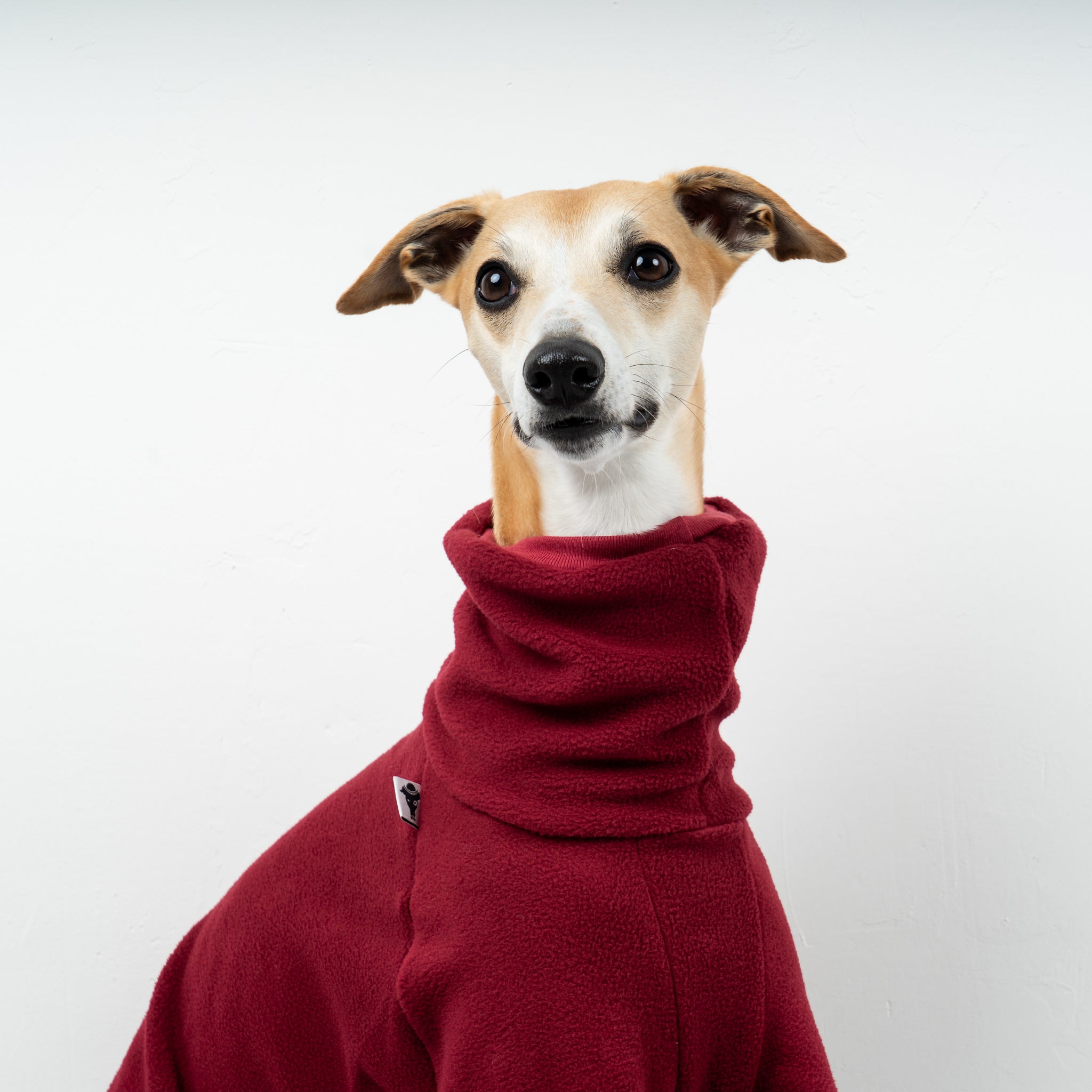 OVERALL Windhund Bordeaux