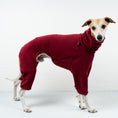 Load image into Gallery viewer, OVERALL Windhund Bordeaux
