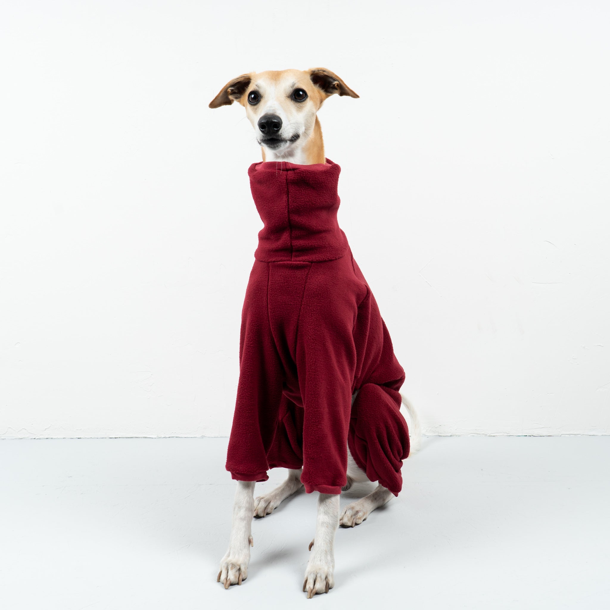 OVERALL Windhund Bordeaux