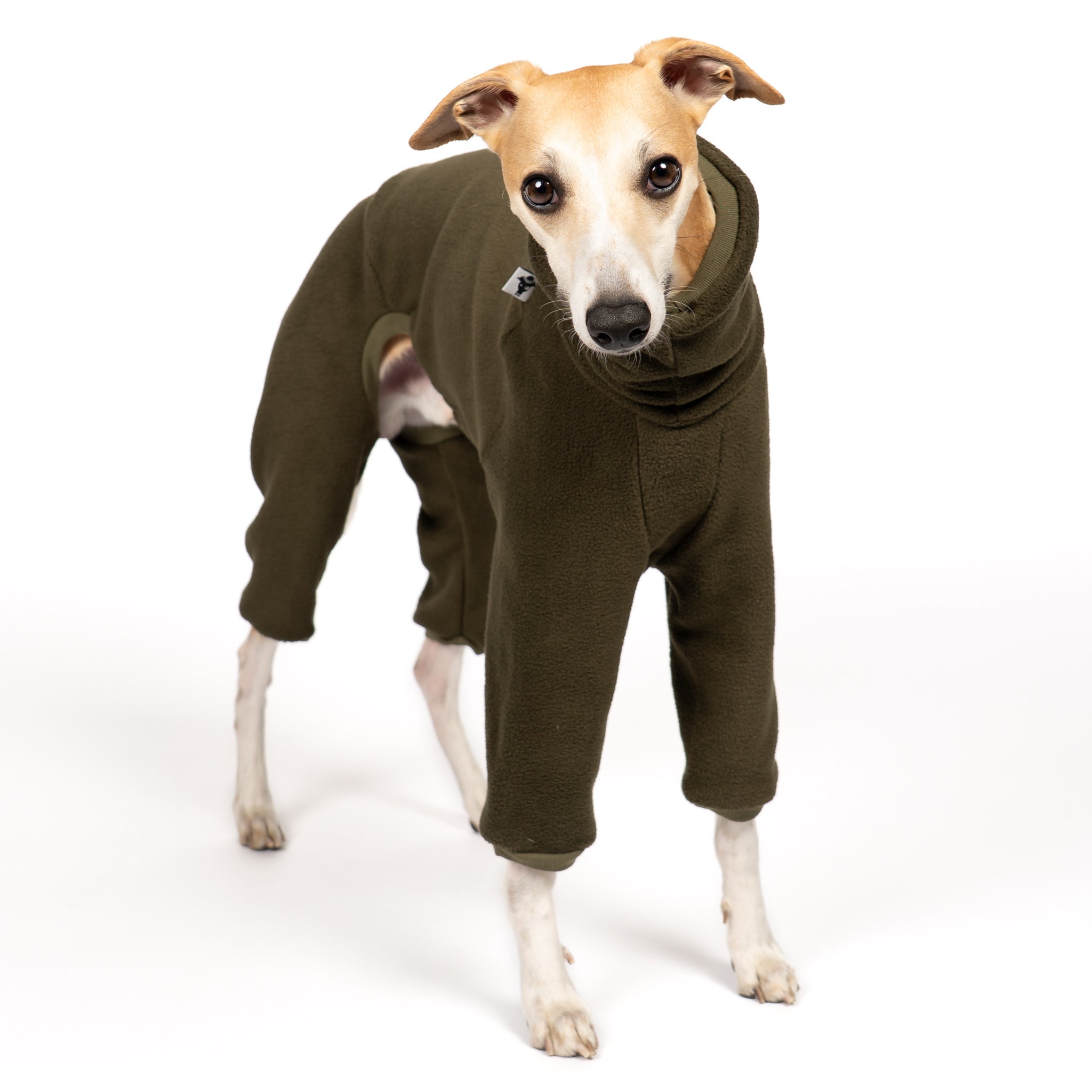 OVERALL Windhund Dark Olive