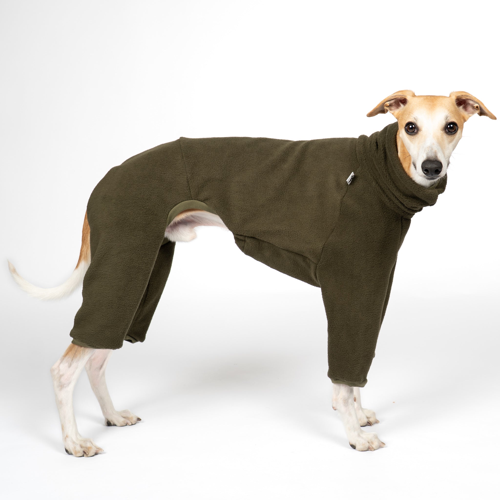 OVERALL Windhund Dark Olive
