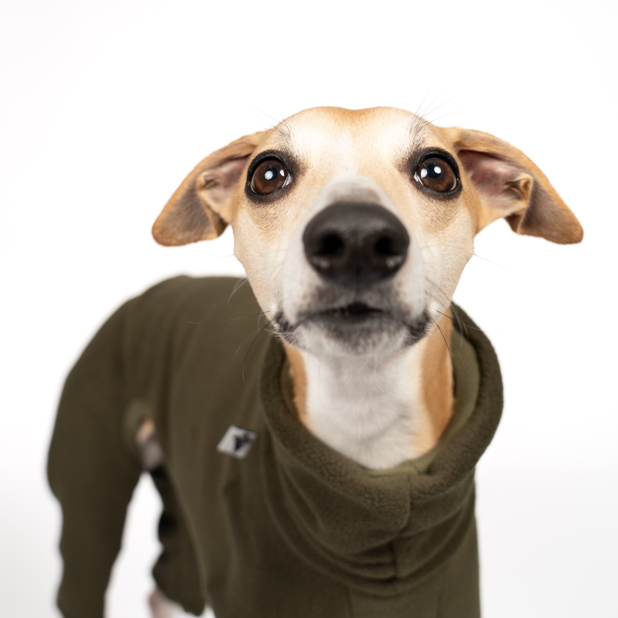 OVERALL Windhund Dark Olive