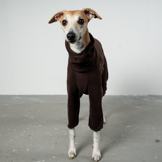 Overall Windhund Espresso – Close-up am Hund – hochwertige Hundekleidung von Karma Hund