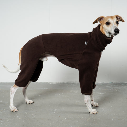 Overall Windhund Espresso – hochwertige Hundekleidung für Dackel, Windspiele und Windhunde von Karma Hund Berlin – Ganzkörperansicht am Hund