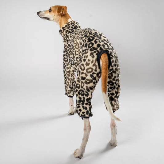 Overall Windhund Leo – Hundekleidung für Dackel, Windspiele und Whippets – Rückenansicht