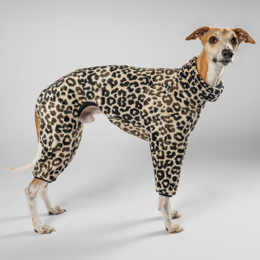 Overall Windhund Leo – hochwertige Hundekleidung für Dackel, Windspiele und Windhunde von Karma Hund Berlin – Ganzkörperansicht am Hund