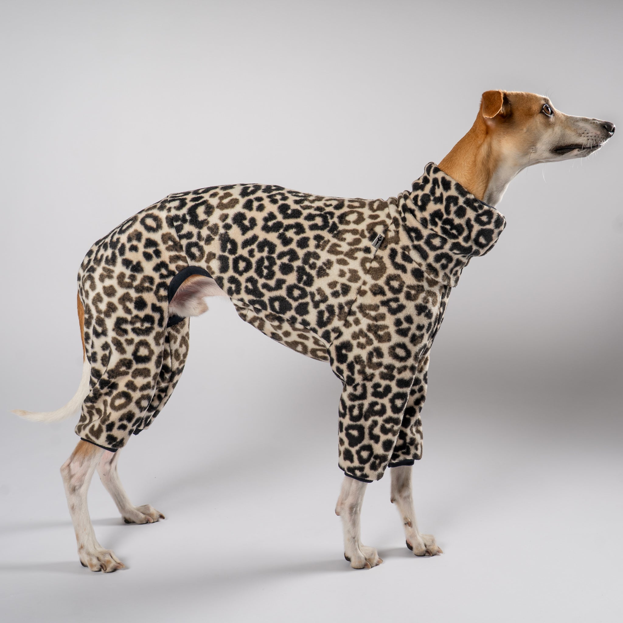 Overall Windhund Leo – Hundepullover und Hundekleidung für Dackel und Windhunde – Seitenansicht am Hund