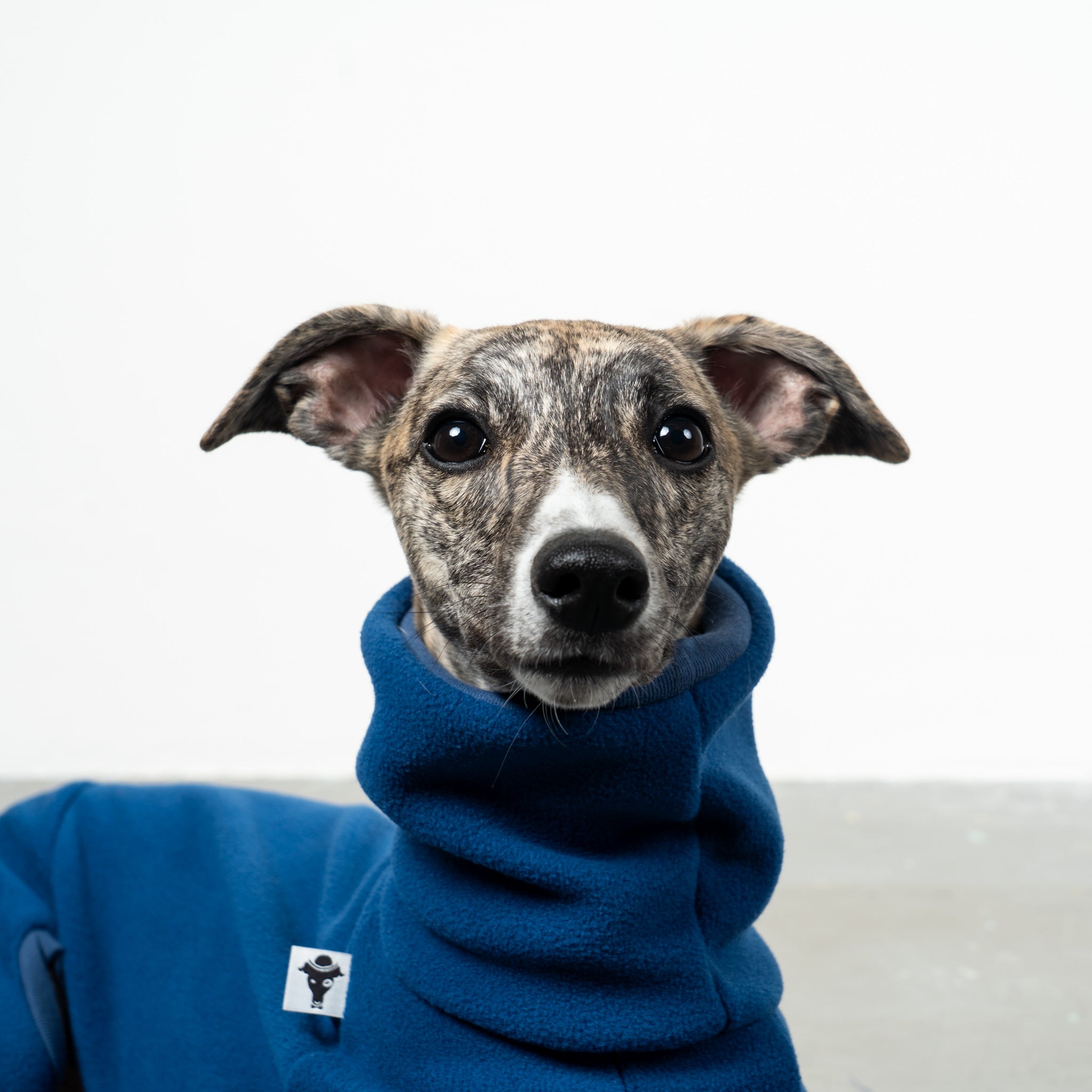 Easy Overall for Whippets Navy
