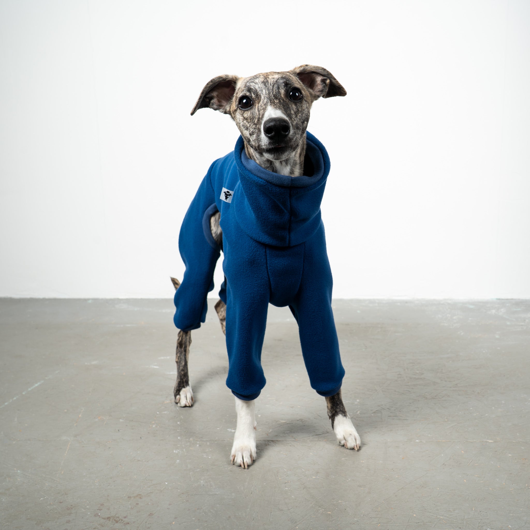 Easy Overall for Whippets Navy