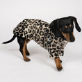 Load image into Gallery viewer, PULLOVER Dackel Leo
