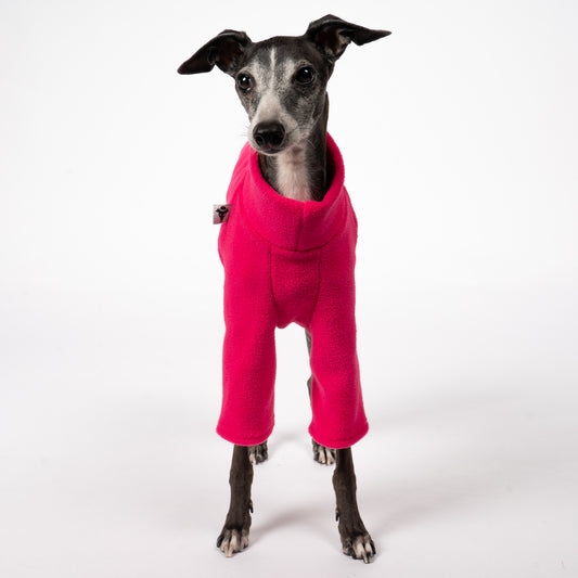 Pullover Iggy Magenta – Close-up am Hund – hochwertige Hundekleidung von Karma Hund