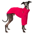 Load image into Gallery viewer, Pullover Iggy Magenta – hochwertige Hundekleidung für Dackel, Windspiele und Windhunde von Karma Hund Berlin – Ganzkörperansicht am Hund
