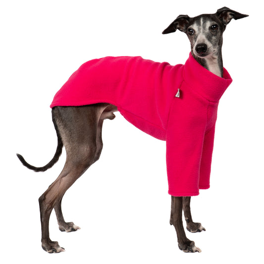 Pullover Iggy Magenta – hochwertige Hundekleidung für Dackel, Windspiele und Windhunde von Karma Hund Berlin – Ganzkörperansicht am Hund