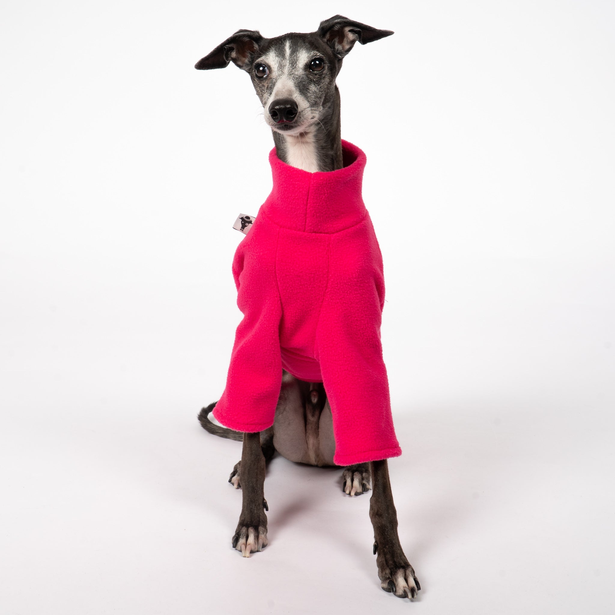 Pullover Iggy Magenta – optimale Passform für Windhunde, Windspiele und Dackel