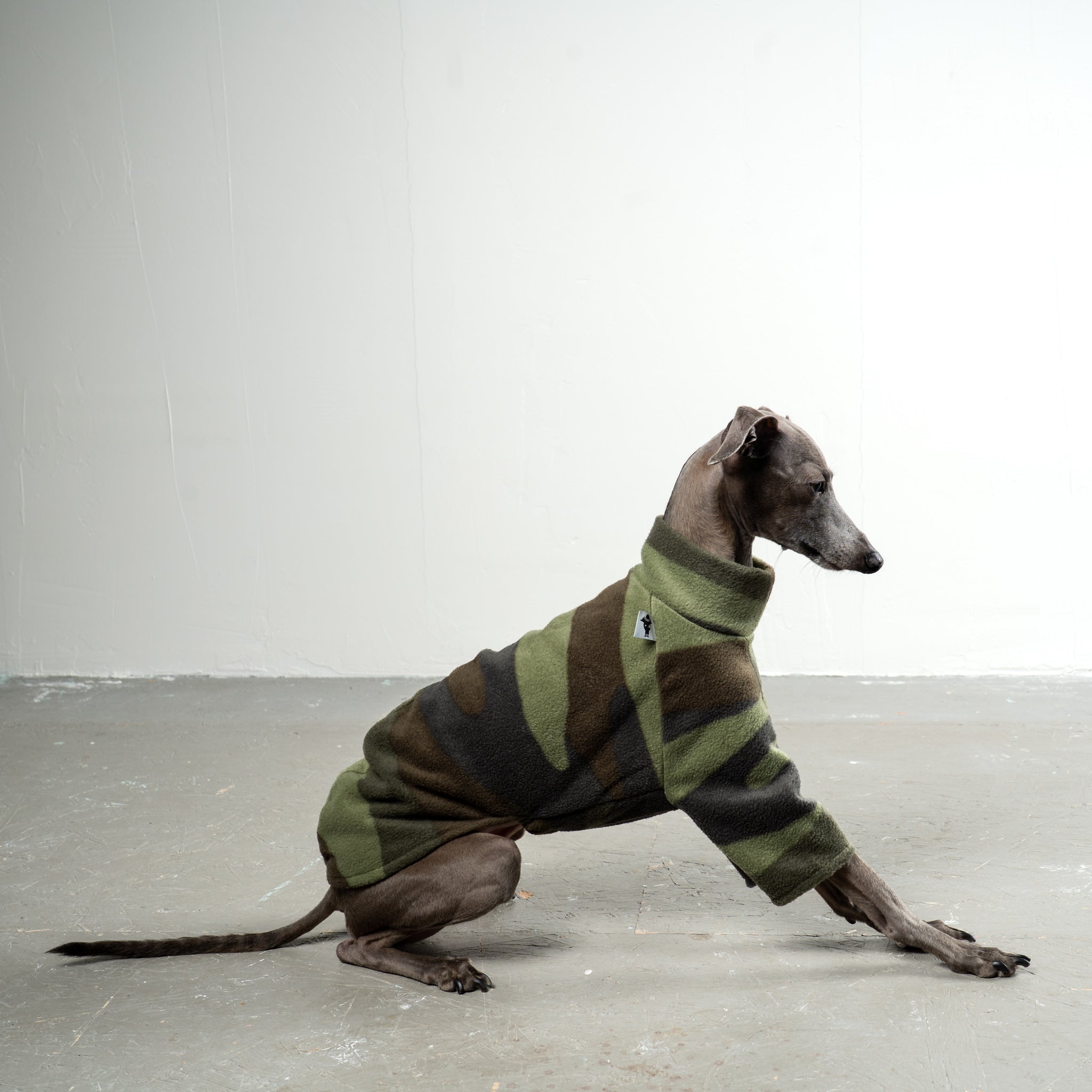 Pullover Iggy Camouflage – optimale Passform für Windhunde, Windspiele und Dackel