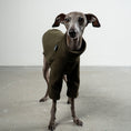 Load image into Gallery viewer, Pullover Iggy Dark Olive – ergonomischer Schnitt für Dackel und Windspiele – handgefertigte Hundekleidung
