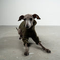 Load image into Gallery viewer, Pullover Iggy Dark Olive – optimale Passform für Windhunde, Windspiele und Dackel

