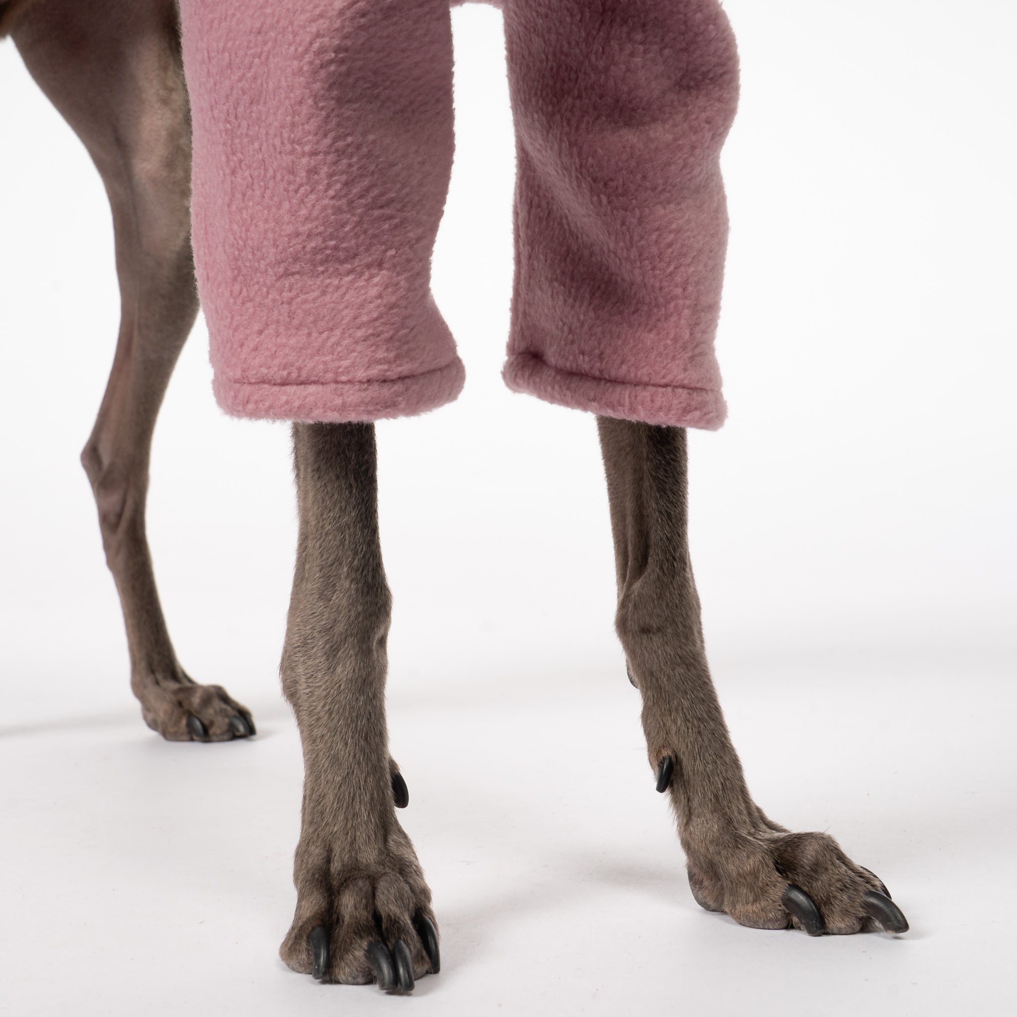 Pullover Iggy Mulberry – Detailaufnahme Stoff und hochwertige Verarbeitung – Karma Hund Berlin