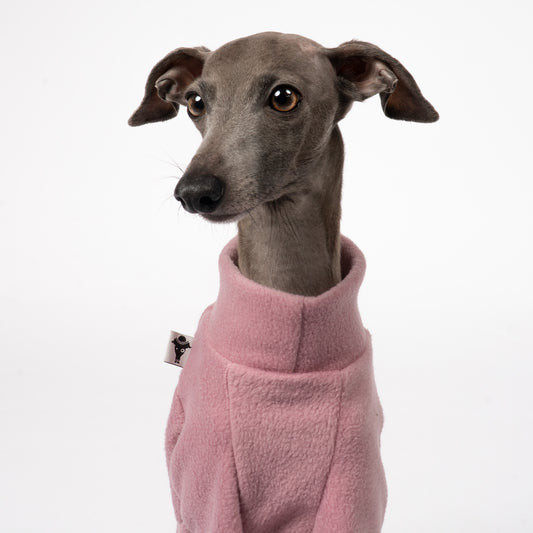 Pullover Iggy Mulberry – Close-up am Hund – hochwertige Hundekleidung von Karma Hund
