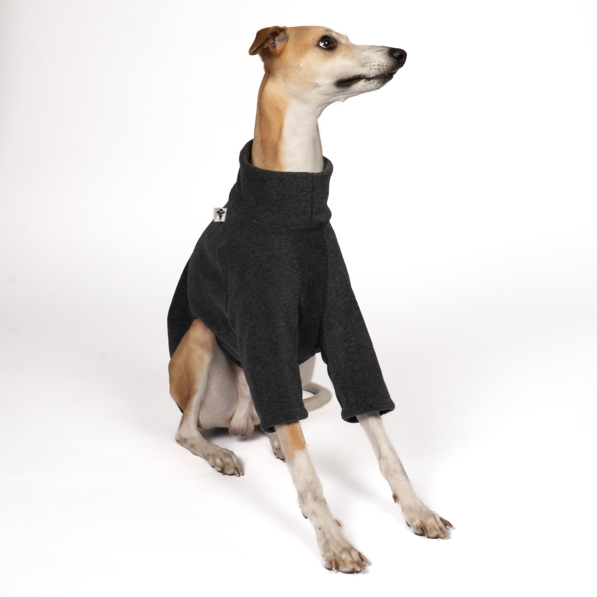 PULLOVER Windhund Anthrazit