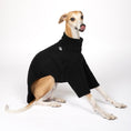 Load image into Gallery viewer, Pullover Windhund Schwarz – ergonomischer Schnitt für Dackel und Windhunde – handgefertigte Hundekleidung
