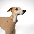 Load image into Gallery viewer, Pullover Windhund Camel – Close-up am Hund – hochwertige Hundekleidung von Karma Hund
