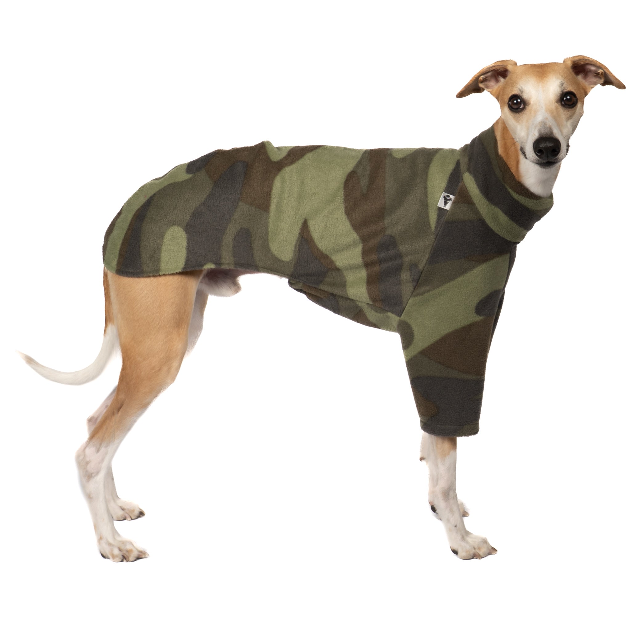 Pullover Windhund Camouflage – hochwertige Hundekleidung für Dackel, Windspiele und Windhunde von Karma Hund Berlin – Ganzkörperansicht am Hund