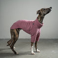 Load image into Gallery viewer, Pullover Windhund Mulberry – Hundepullover und Hundekleidung für Dackel und Windhunde – Seitenansicht am Hund

