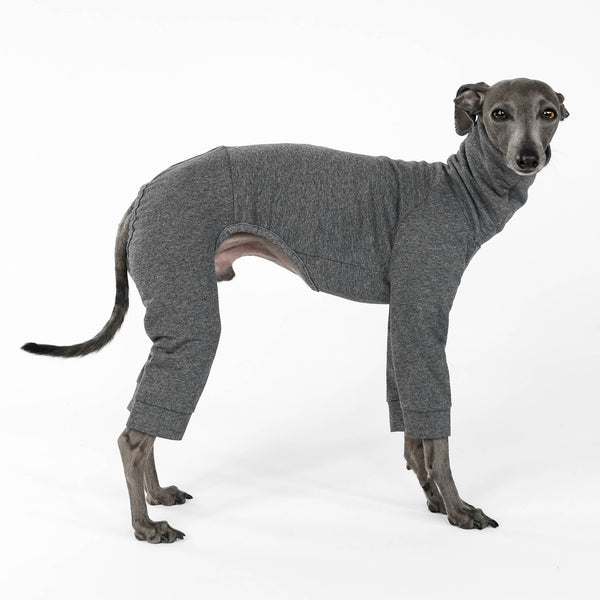 Second Skin Overall for Italian Greyhound