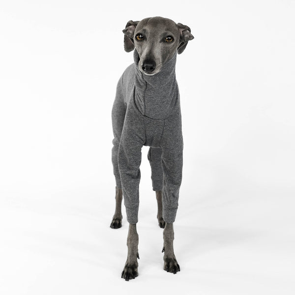 Second Skin sweat overall for italian greyhound