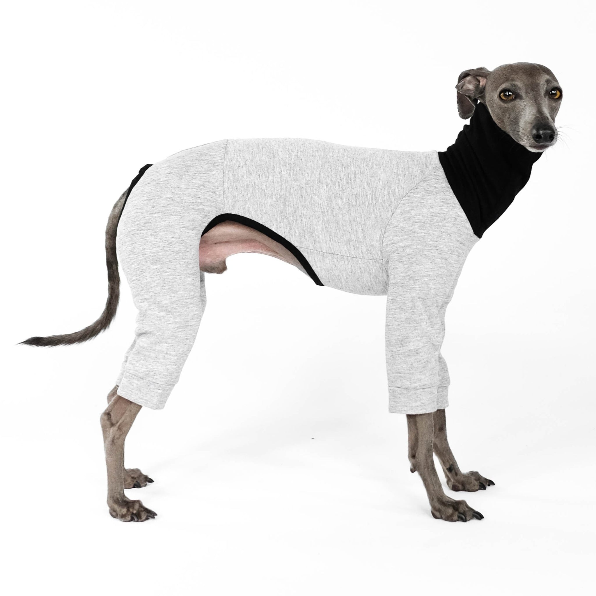 Second Skin Sweat Light Grey for Italian Greyhounds