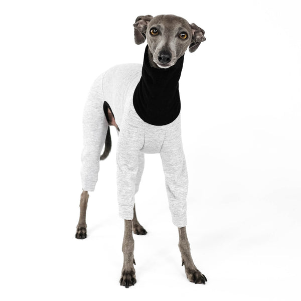 Second Skin Overall for Italian Greyhounds