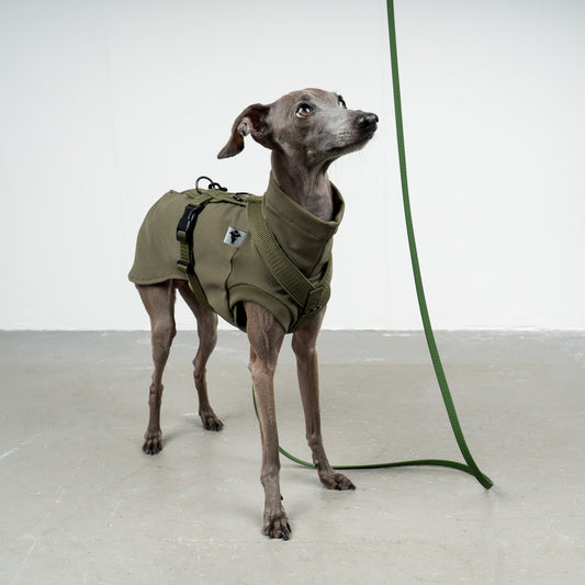 SOFTSHELL DOGHARNESS Iggy Dark Olive