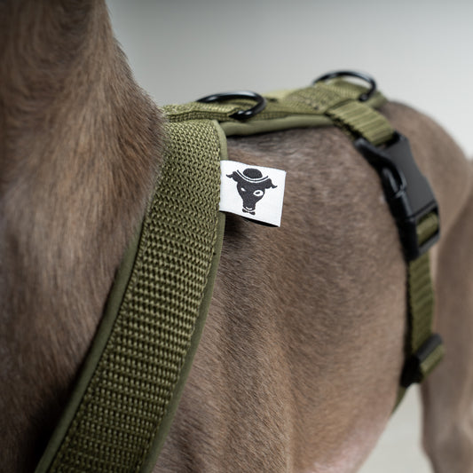 SOFTSHELL DOGHARNESS Iggy Dark Olive
